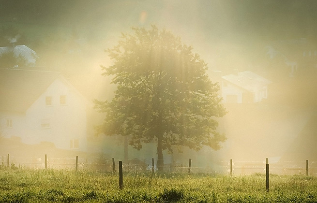 网络ddos攻击软件