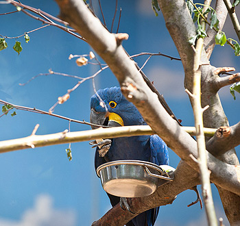 攻击网站服务器