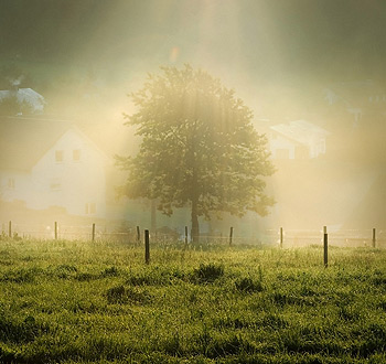 DDOS在线压力测试