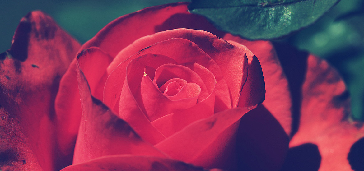 ddos攻击ip软件下载