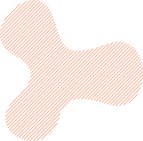 傻瓜式操作的服务器攻击软件